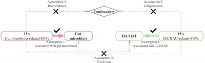 Causal association of juvenile idiopathic arthritis or JIA-associated uveitis and gut microbiota: a bidirectional two-sample Mendelian randomisation study